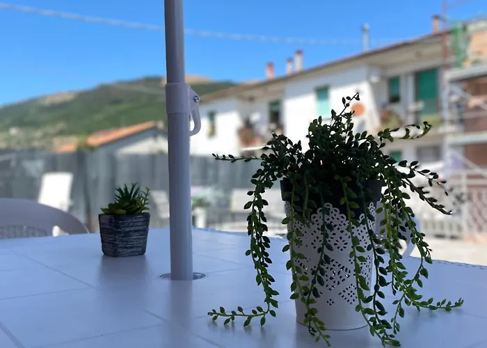 La Signora Dei Fiori