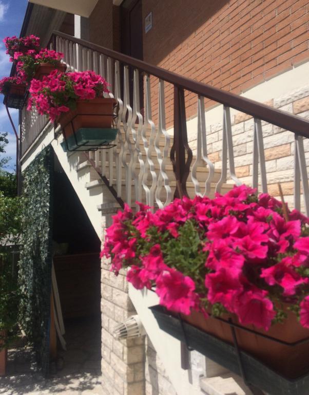 Apartment La Signora Dei Fiori *